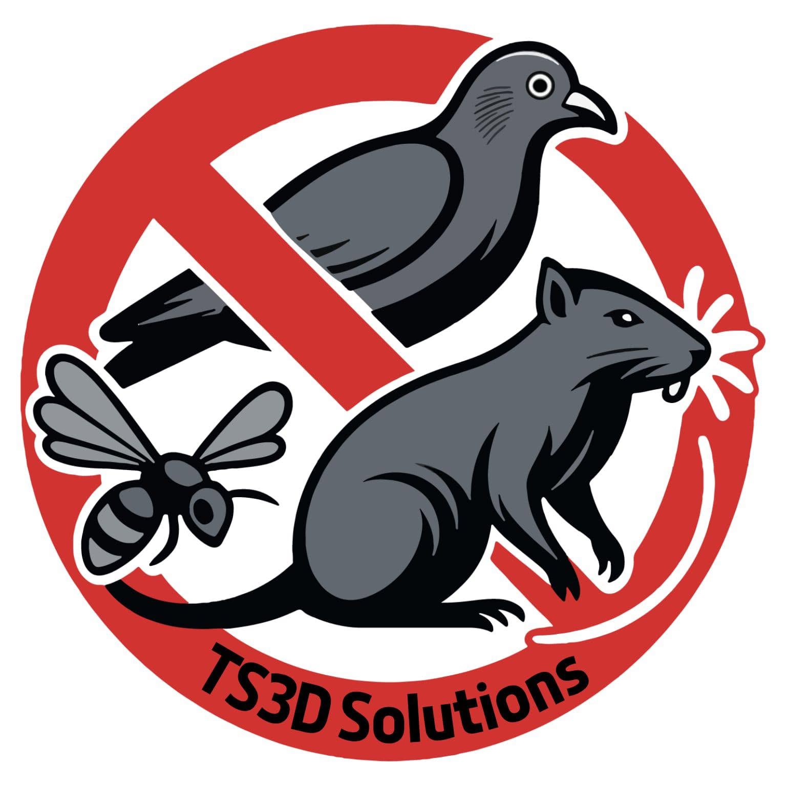 ts3d_solutions.jpg (126 KB)
